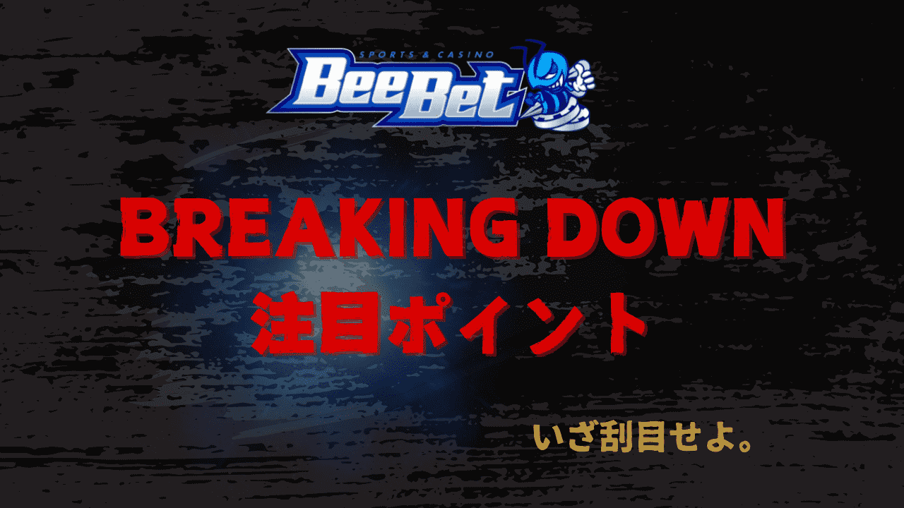 BeeBet BREAKINGDOWN12　注目ポイント